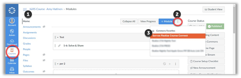Using The LTI-A Canvas LMS Integration with Realize