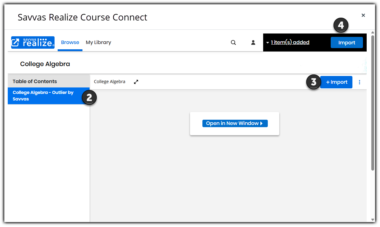 Using Outlier Programs on Classes in the LTI-A LMS Integration